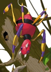 Rule 34 | absurdres, ariados, blurry, bug, commentary request, creatures (company), fangs, full body, game freak, gen 2 pokemon, highres, leaf, moss, nintendo, no humans, pokemon, pokemon (creature), purple eyes, silk, spider, spikes, tree, white background, yunimaru
