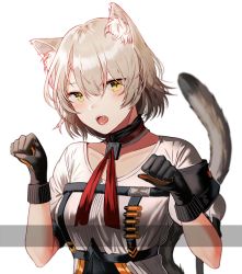 Rule 34 | 1girl, animal ears, blush, breasts, cowboy shot, girls&#039; frontline, gloves, grey hair, hair between eyes, looking at viewer, medium breasts, open mouth, red neckwear, short hair, short sleeves, shy, silence girl, solo, tail, upper body, vector (girls&#039; frontline), wristband, yellow eyes