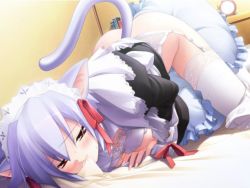 Rule 34 | 1girl, all fours, animal ears, bed, bedroom, blue hair, bra, breasts, cat ears, cat tail, clothes lift, crotch rub, dress, dress lift, dutch angle, female masturbation, frilled pillow, frills, game cg, garter belt, garter straps, gayarou, humping, indoors, kotonomiya yuki, lace, lace-trimmed legwear, lace trim, lingerie, maid, maid headdress, masturbation, medium breasts, mouth hold, no panties, pillow, pillow sex, solo, suigetsu, tail, thighhighs, third-party edit, top-down bottom-up, underwear, white thighhighs