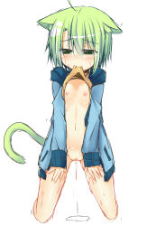 Rule 34 | 1girl, ahoge, animal ears, blush, bottomless, cat ears, cat tail, clothes lift, dodome-iro mayonnaise, flat chest, green eyes, green hair, highres, hood, hoodie, matching hair/eyes, naked hoodie, nipples, open clothes, open hoodie, original, pussy, pussy juice, sharon (dodomayo), shirt lift, short hair, solo, tail