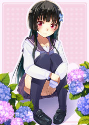 Rule 34 | 10s, 1girl, black hair, black thighhighs, blunt bangs, blush, censored, convenient censoring, convenient leg, flower, hair ornament, hugging own legs, hydrangea, loafers, long hair, pigeon-toed, pleated skirt, red eyes, sanka rea, sankarea, school uniform, shoes, skirt, smile, solo, thighhighs, umeboshitora, zombie