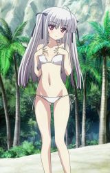 Rule 34 | 10s, 1girl, 8-bit (company), absolute duo, beach, bikini, breasts, flat chest, hair ornament, hair ribbon, highres, long hair, looking at viewer, midriff, navel, outdoors, palm tree, red eyes, ribbon, sand, screencap, side-tie bikini bottom, silver hair, small breasts, stitched, swimsuit, thighs, third-party edit, tree, two side up, yurie sigtuna