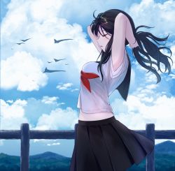 Rule 34 | 1girl, ahoge, arms behind head, bird, black skirt, breasts, closed eyes, cloud, cloudy sky, collaboration, cowboy shot, day, fence, flock, from side, highres, hoshi usagi, itachi kanade, long hair, medium breasts, midriff, midriff peek, navel, nose, original, outdoors, parted lips, pleated skirt, ponytail, school uniform, serafuku, shirt, skirt, sky, solo, standing, stomach, white shirt, wooden fence