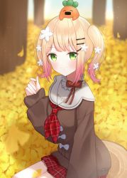 Rule 34 | absurdres, autumn leaves, bad id, bad pixiv id, blonde hair, blush, brown sweater, closed mouth, commentary request, flower, ginkgo leaf, gradient hair, green eyes, hair flower, hair ornament, hairclip, highres, holding, holding leaf, hololive, honome sui, leaf, long sleeves, looking at viewer, miniskirt, momosuzu nene, momosuzu nene (casual), multicolored hair, neckerchief, nekko (momosuzu nene), pink hair, plaid, plaid neckerchief, plaid skirt, red neckerchief, red skirt, short hair, sidelocks, sitting, skirt, sleeves past wrists, smile, sweater, tree trunk, twintails, virtual youtuber, white flower