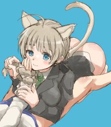 Rule 34 | 2girls, ahoge, animal ears, arm grab, ass, black jacket, blue background, blue eyes, blue one-piece swimsuit, bottomless, braid, breasts, brown hair, cat ears, cat girl, cat tail, green necktie, hand on another&#039;s face, highres, jacket, kneeling, large breasts, leaning forward, long hair, lying, lynette bishop, medium breasts, miyafuji yoshika, multiple girls, murayama kei, necktie, on back, one-piece swimsuit, ponytail, school swimsuit, shirt, simple background, smile, strike witches, swimsuit, tail, white shirt, world witches series, yuri