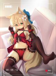 Rule 34 | 1girl, absurdres, animal ears, babydoll, bdsm, black thighhighs, blonde hair, blush, bondage, bound, breasts, chain, collar, cuffs, cuffs-to-collar, dog ears, dog tail, flower, full-face blush, green eyes, hair flower, hair ornament, hair ribbon, highres, hotel01, lace, lingerie, long hair, looking at viewer, lying, no shoes, on back, original, panties, recording, red panties, ribbon, small breasts, solo, tail, thighhighs, underwear, viewfinder, wavy mouth