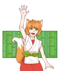 Rule 34 | 1girl, animal ear fluff, animal ears, arm up, brown hair, fox ears, fox girl, fox tail, green eyes, looking at viewer, open mouth, pants, red pants, ruoshui (the legend of luoxiaohei), shirt, short hair, smile, solo, tail, luo xiaohei zhanji, upper body, user myye2452, waving, white shirt