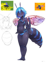 1girl abdomen_tail antennae aqua_hair aqua_panties aqua_stripes aqua_tongue arthropod_girl bee_girl black_eyes black_skin bloated blue_nipples blue_panties blush breasts breasts_apart colored_nipples colored_sclera colored_skin commentary constricted_pupils creature_and_personification extra_arms fang highres insect_girl insect_wings looking_at_viewer medium_hair monster_girl my700 navel nipples no_shirt original panties personification real_life_insert sketch skin_fang small_breasts solo stinger stomach symbol-only_commentary underwear wide_hips wings yellow_sclera