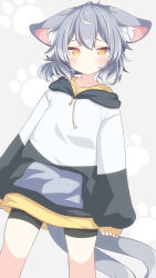 Rule 34 | 1girl, animal ear fluff, animal ears, bike shorts, black shorts, blush, brown eyes, closed mouth, commission, daidai ookami, drawstring, feet out of frame, grey background, grey hair, hair between eyes, highres, hood, hood down, hoodie, looking at viewer, multiple tails, original, shorts, skeb commission, solo, standing, tail, two tails, white hoodie