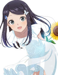 Rule 34 | 1girl, arms behind back, black hair, butterfly hair ornament, collarbone, dress, flower, frilled sleeves, frills, grey eyes, hair flower, hair ornament, highres, holding, holding flower, leaning forward, light blush, long hair, looking at viewer, medium dress, open mouth, pacha (atatakai), petite, rougo ni sonaete isekai de 8-manmai no kinka wo tamemasu, see-through silhouette, short sleeves, simple background, smile, solo, sparkle, sundress, sunflower, swept bangs, thigh gap, white background, white dress, wind, wind lift, yamano mitsuha