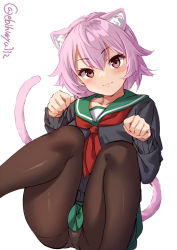 Rule 34 | 1girl, animal ear fluff, animal ears, black pantyhose, blush, breasts, cat ears, cat girl, cat tail, ebifurya, green skirt, hair between eyes, highres, kantai collection, long sleeves, looking at viewer, neckerchief, one-hour drawing challenge, panties, panties under pantyhose, pantyhose, pink hair, red eyes, red neckerchief, sailor collar, school uniform, serafuku, shirt, short hair, simple background, skirt, small breasts, smile, solo, tail, tama (kancolle), twitter username, underwear, white background, white panties