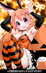 Rule 34 | 1girl, :d, animal ears, armpits, black footwear, blouse, boots, breasts, commentary, detached sleeves, fake animal ears, fang, frills, gochuumon wa usagi desu ka?, hair ornament, hairclip, highres, hoto cocoa, invisible chair, jack-o&#039;-lantern print, jewelry, looking at viewer, medium breasts, miniskirt, necklace, open mouth, orange hair, orange shirt, orange thighhighs, panties, pantyshot, pleated skirt, purple eyes, rabbit ears, rabbit pose, shirt, short hair, sitting, skirt, smile, solo, squatting, strapless, striped clothes, striped thighhighs, thighhighs, underwear, white panties, white skirt, zebrablack