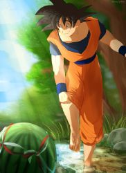 Rule 34 | 1boy, barefoot, black eyes, black hair, day, dougi, dragon ball, dragonball z, food, fruit, grass, happy, highres, leg up, looking away, male focus, outdoors, river, rock, shaded face, short hair, sky, smile, son goku, spiked hair, standing, sunlight, tree, twitter username, water, watermelon, wristband