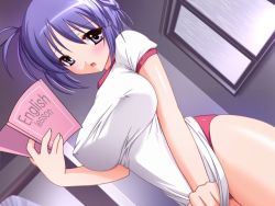 Rule 34 | 1girl, atelier kaguya, blue hair, book, breasts, choco chip, covered erect nipples, covering privates, covering crotch, doki doki onee-san, dutch angle, game cg, gym uniform, impossible clothes, impossible shirt, indoors, large breasts, mizuno hazuki, purple eyes, purple hair, shirt, shirt tug, short hair, solo