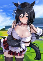 Rule 34 | 1girl, animal ears, arm under breasts, black hair, blue eyes, blue sky, blush, breasts, choker, cleavage, cloud, commentary request, detached sleeves, eishin flash (umamusume), everchix, frills, highres, horse ears, horse girl, horse tail, large breasts, leaning forward, looking at viewer, outdoors, raised eyebrows, red choker, scrunchie, short hair, sky, solo, standing, tail, thighhighs, umamusume, white scrunchie, zettai ryouiki