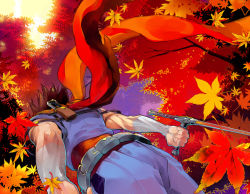 Rule 34 | 1boy, autumn, capcom, from behind, from below, hpa (foolish factory), leaf, male focus, manly, ninja, red scarf, scarf, solo, strider (video game), strider hiryuu, sword, weapon