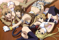 Rule 34 | 00s, 4girls, :&lt;, :p, absurdres, ahoge, all fours, animal ears, animal hands, animal print, ass, back, bell, between thighs, black thighhighs, blonde hair, blush, blush stickers, breasts, brown eyes, brown hair, brown thighhighs, cat ears, cat paws, cat tail, choker, claws, cleavage, collar, elbow gloves, feet, flat chest, gloves, hair bell, hair ornament, hairclip, highres, hug, in heat, jingle bell, kirishima akari, kirishima kotone, large breasts, legs, legs up, lingerie, long hair, lying, mizuno kaede, mole, mole under eye, morita kazuaki, multiple girls, no shoes, non-web source, nyan koi!, nyantype, official art, on back, on side, open mouth, panties, ponytail, round teeth, scan, short hair, siblings, sideboob, sisters, smile, striped, sumiyoshi kanako, tail, teeth, thighhighs, thighs, tiger print, tongue, tongue out, twins, twintails, underwear, white panties