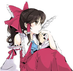 Rule 34 | 1girl, ascot, bow, brown eyes, brown hair, detached sleeves, feathers, female focus, hair bow, hair tubes, hakurei reimu, japanese clothes, long hair, miko, quill, sidelocks, simple background, sitting, solo, touhou, white background, yonu (nyonu), yonu (yonurime)