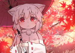 Rule 34 | 1girl, animal ear fluff, animal ears, autumn leaves, blurry, blurry background, blurry foreground, branch, day, depth of field, hair between eyes, highres, holding, holding umbrella, inubashiri momiji, jacket, kibisake, leaf, long sleeves, looking at viewer, maple leaf, oil-paper umbrella, outdoors, red eyes, red umbrella, ribbon-trimmed sleeves, ribbon trim, silver hair, sleeves past wrists, solo, thick eyebrows, touhou, two-handed, umbrella, upper body, white jacket, wide sleeves, wolf ears