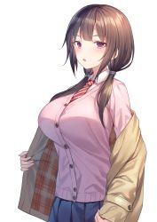 Rule 34 | 1girl, :o, absurdres, alexmaster, black hair, blue skirt, blush, breasts, brown coat, brown hair, brown jacket, buttons, cardigan, coat, collared shirt, cowboy shot, hair tie, highres, jacket, large breasts, long hair, long sleeves, looking at viewer, low twintails, necktie, off shoulder, open clothes, open coat, open jacket, open mouth, original, parted lips, pink cardigan, pleated skirt, purple eyes, red necktie, school uniform, shirt, simple background, skirt, solo, striped necktie, striped neckwear, twintails, undershirt, undressing, upper body, white background, white shirt
