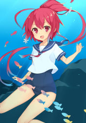 Rule 34 | 10s, 1girl, :d, ahoge, bad id, bad pixiv id, fish, hukasikasi, i-168 (kancolle), kantai collection, long hair, looking at viewer, one-piece swimsuit, open mouth, ponytail, red eyes, red hair, school swimsuit, school uniform, serafuku, smile, solo, swimsuit, swimsuit under clothes, underwater, very long hair