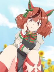 Rule 34 | 1girl, animal ears, black dress, blurry, bow, bowtie, brown hair, depth of field, dress, dutch angle, ear covers, flower, funamori, green bow, hair bow, highres, horse ears, horse girl, juliet sleeves, long sleeves, looking at viewer, multicolored hair, nice nature (umamusume), pinafore dress, puffy sleeves, sleeveless, sleeveless dress, solo, streaked hair, sunflower, twintails, umamusume