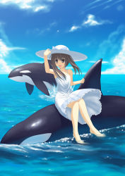Rule 34 | 1girl, absurdres, bad id, bad pixiv id, bare shoulders, barefoot, brown eyes, brown hair, cloud, day, dress, hand on headwear, hat, hat ribbon, highres, izumi sai, long hair, ocean, open mouth, orca, original, partially submerged, ribbon, riding, sitting, sky, smile, soaking feet, solo, sun hat, sundress, water, whale