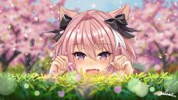 Rule 34 | 1boy, :d, animal ears, astolfo (fate), black bow, blue sky, blurry, blurry background, blush, bow, cat boy, cat ears, cherry blossoms, commentary, commission, day, depth of field, derivative work, eyelashes, fang, fate/apocrypha, fate (series), fingernails, flower, grass, hair bow, hair intakes, half-closed eyes, hands up, happy, highres, light particles, long hair, looking at viewer, male focus, multicolored hair, open mouth, outdoors, paw pose, petals, pink hair, portrait, purple eyes, raised eyebrows, signature, skin fang, sky, smile, solo, streaked hair, trap, tree, two-tone hair, white hair, wobblekun, yellow flower