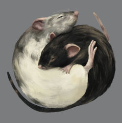 Rule 34 | animal focus, black fur, closed eyes, closed mouth, commentary, english commentary, grey background, grey fur, mouse (animal), no humans, original, simple background, sleeping, svetty-art, whiskers, white fur