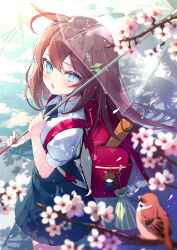 Rule 34 | 1girl, aged down, ahoge, animal ears, backpack, bag, bird, black skirt, blue eyes, blurry, blurry foreground, blush, branch, brown hair, cherry blossoms, child, collared shirt, highres, holding, holding umbrella, horse ears, horse girl, horse tail, long hair, looking at viewer, looking to the side, mihono bourbon (umamusume), open mouth, outdoors, patori, puddle, puffy short sleeves, puffy sleeves, randoseru, recorder case, reflection, reflective water, ripples, shirt, short sleeves, skirt, slit pupils, solo, standing, tail, transparent, transparent umbrella, umamusume, umbrella, white shirt