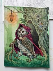 Rule 34 | 1other, bird, brooch, caitlin hackett, cane, cape, commentary, english commentary, forest, furry, highres, holding, holding cane, hood, hood up, house, jewelry, lantern, looking at viewer, mushroom, nature, original, outdoors, owl, painting (medium), plant roots, real life insert, red cape, stained glass, traditional media, tree, walking, winged arms, wings
