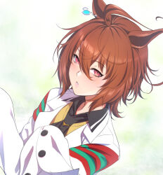 Rule 34 | 1girl, :o, absurdres, agnes tachyon (umamusume), ahoge, animal ears, black necktie, black shirt, brown hair, coat, collared shirt, commentary, earrings, half-closed eyes, highres, horse ears, horse girl, jewelry, lab coat, looking at viewer, necktie, parted lips, red eyes, shirt, short hair, single earring, sleeves past fingers, sleeves past wrists, solo, sweater, symbol-shaped pupils, umamusume, very long sleeves, white coat, yellow sweater, zucchini