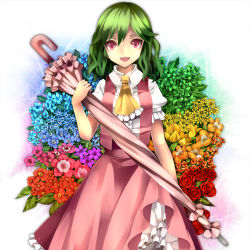 Rule 34 | 1girl, ascot, bad id, bad pixiv id, closed umbrella, colorful, dress shirt, female focus, floral background, flower, green hair, kazami yuuka, open mouth, rainbow order, red eyes, ringpearl, shirt, skirt, skirt set, smile, solo, touhou, umbrella, vest