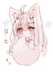 Rule 34 | 1girl, ahoge, animal ear fluff, animal ears, bad id, bad twitter id, biting, biting own tail, blush, chibi, commentary request, flower, full body, grey hair, grey sailor collar, hair between eyes, hair flower, hair intakes, hair ornament, holding tail, long hair, long sleeves, original, red eyes, sailor collar, shirt, simple background, solo, tail, tail biting, tandohark, very long hair, white background, white shirt