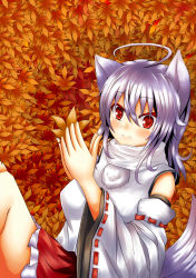 Rule 34 | 1girl, :3, absurdres, ahoge, animal ears, autumn leaves, bad id, bad pixiv id, bare shoulders, blush, breasts, detached sleeves, highres, holding, inubashiri momiji, large breasts, leaf, looking at viewer, oohirakeisuke, pom pom (clothes), red eyes, shirt, short hair, silver hair, skirt, smile, solo, tail, touhou, wolf ears, wolf tail