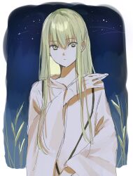 Rule 34 | 1other, androgynous, enkidu (fate), fate/grand order, fate (series), green eyes, green hair, highres, hiyo pi02, light green hair, long hair, looking at viewer, night, night sky, robe, sky, solo, toga, upper body, very long hair, white robe