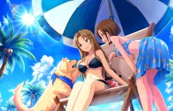 2girls animal_hands artist_request blue_eyes bracelet brown_hair clothes_writing dog earrings idolmaster idolmaster_cinderella_girls idolmaster_cinderella_girls_starlight_stage jewelry long_hair matsumoto_sarina mizuki_seira multiple_girls o-ring o-ring_top official_art sitting swimsuit