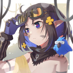 Rule 34 | 1girl, absurdres, adjusting goggles, arknights, arm strap, bare shoulders, bird, black hair, blue eyes, blue hair, breasts, cleavage, colored inner hair, commentary request, dirty, dirty face, eunectes (arknights), goggles, goggles on head, hand up, head tilt, high priest (arknights), highres, kiscript, multicolored hair, off shoulder, pointy ears, short hair, upper body