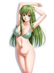 Rule 34 | absurdres, arms up, blush, cleft of venus, fire emblem, no panties, green hair, happy, highres, nintendo, palla (fire emblem), pussy, smile, spread legs
