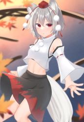 Rule 34 | 1girl, :o, autumn leaves, black skirt, branch, breasts, chest sarashi, commentary request, dakuazu, detached sleeves, grey hair, hat, highres, inubashiri momiji, leaf, long sleeves, looking at viewer, maple leaf, midriff, navel, open mouth, outdoors, pom pom (clothes), red eyes, red hat, red skirt, ribbon-trimmed sleeves, ribbon trim, sarashi, short hair, skirt, small breasts, solo, stomach, tail, tokin hat, touhou, turtleneck, two-tone skirt, vest, white sleeves, white tail, white vest, wide sleeves, wolf girl, wolf tail