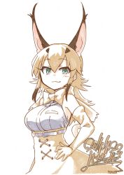 Rule 34 | 10s, 1girl, :3, animal ears, aqua eyes, bare shoulders, blouse, blush, bow, bowtie, breasts, brown hair, caracal (kemono friends), dated, elbow gloves, gloves, hair between eyes, hand on own hip, kemono friends, long hair, looking at viewer, medium breasts, shirt, simple background, sleeveless, sleeveless shirt, smile, solo, traditional bowtie, upper body, white background, white shirt, yoshida hideyuki