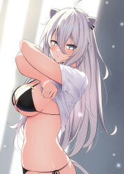 Rule 34 | 1girl, absurdres, ahoge, animal ears, bikini, bikini under clothes, blush, breasts, clothes lift, cocoablue23, crossed arms, ear piercing, from side, grey eyes, grey hair, hair between eyes, highres, hololive, large breasts, lifted by self, lion ears, lion girl, lion tail, long hair, looking at viewer, looking to the side, piercing, resolution mismatch, shirt, shirt lift, shishiro botan, side-tie bikini bottom, source smaller, swimsuit, tail, virtual youtuber, white hair, white shirt