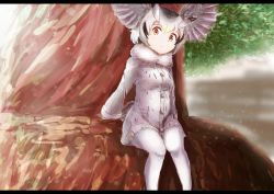 Rule 34 | 10s, 1girl, absurdres, bad id, bad pixiv id, blonde hair, coat, commentary, framed, fur collar, gloves, grey coat, grey hair, head wings, highres, in tree, kemono friends, long sleeves, looking at viewer, multicolored hair, northern white-faced owl (kemono friends), pantyhose, short hair, sitting, sitting in tree, solo, tamiku (shisyamo609), tree, white hair, white pantyhose, wings, yellow eyes, yellow gloves