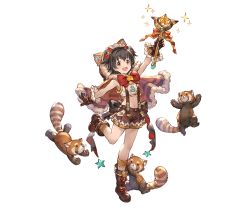 Rule 34 | 10s, 1girl, :d, akagi miria, animal, animal hood, ankle boots, black hair, boots, bow, brown eyes, brown gloves, brown shorts, crop top, flat chest, full body, gloves, granblue fantasy, hairband, holding, hood, idolmaster, idolmaster cinderella girls, minaba hideo, navel, official art, open mouth, red bow, red panda, scepter, short hair, shorts, smile, solo, star (symbol), suspenders, transparent background, two side up