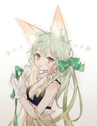 Rule 34 | 1girl, animal ears, art556 (girls&#039; frontline), bare shoulders, black bra, bow, bra, brazil, breasts, brown hair, collared shirt, commentary request, crop top, girls&#039; frontline, gloves, green bow, green hair, hair bow, highres, long hair, looking at viewer, shia job, shirt, sleeveless, sleeveless shirt, small breasts, solo, tongue, tongue out, twintails, underwear, upper body, very long hair, white background, white gloves, white shirt