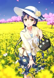 Rule 34 | 10s, 1girl, :d, blue hair, blurry, blush, bug, butterfly, cherry blossoms, depth of field, field, flower, flower field, hair ornament, hairclip, hat, hat flower, highres, bug, jewelry, long hair, love live!, love live! school idol festival, love live! school idol project, necklace, open mouth, smile, solo, sonoda umi, sun hat, tucana, yellow eyes