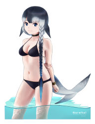 Rule 34 | 1girl, alternate hairstyle, arm at side, arm behind back, asymmetrical hair, beleven, bikini, black bikini, black hair, blowhole, blue eyes, blue hair, border, braid, breasts, cetacean tail, character name, choker, closed mouth, collarbone, fins, fish tail, gradient hair, grey hair, hair ribbon, head fins, highres, jewelry, kemono friends, legs together, light smile, long hair, looking at viewer, medium breasts, multicolored hair, narwhal (kemono friends), navel, parted bangs, ribbon, side braid, single braid, solo, standing, stomach, swimsuit, tail, twintails, very long hair, wading, water, wristlet