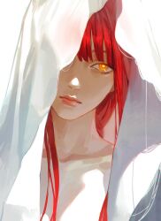 Rule 34 | 1girl, absurdres, cape, chainsaw man, closed mouth, highres, long hair, looking at viewer, makima (chainsaw man), red hair, ringed eyes, solo, straight hair, uqi32, yellow eyes