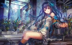 Rule 34 | 1girl, :d, blue hair, blue socks, character request, flower, gun, hair flower, hair ornament, kneehighs, knife, leaf, lm7 (op-center), long hair, open mouth, original, plant, planted, potted plant, red eyes, sitting, smile, socks, solo, stairs, weapon