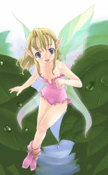 Rule 34 | breasts, cleavage, fairy, nature, pointy ears, wings